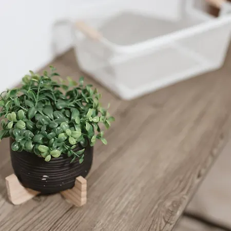 Appartement Dimora Del Moro Cattedrale Palermo